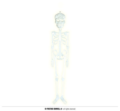 FLUORESCENT SKELETON 75 CM (19866)