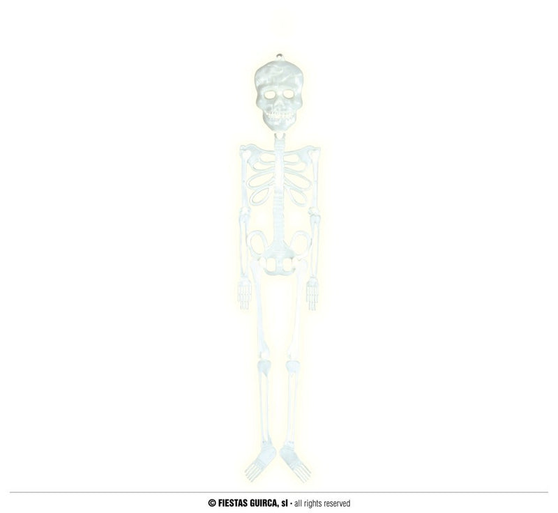 FLUORESCENT SKELETON 75 CM (19866)
