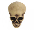 FOAM SKULL 22 CMS (26276)