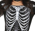 SKELETON, ADULT, 36 - 38 (79592)