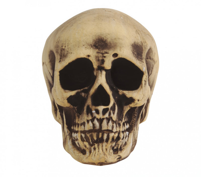 FOAM SKULL 22 CMS (26276)