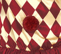 HORROR CLOWN, ADULT, 38 - 40  (79596)