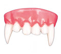 VAMPIRE TEETH (2190)