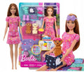 Barbie Puppy Pool Party Toy Playset