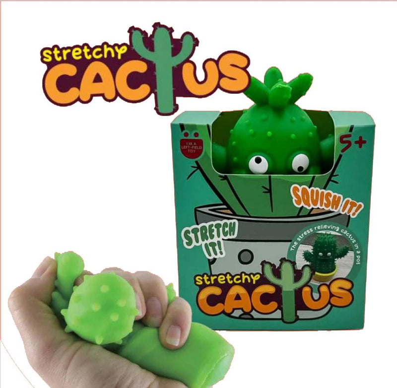 الصبار المطاطي Stretchy Cactus