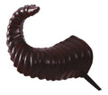SATAN HORNS 20 CM (17251)