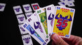 6 نيمت (6 Nimmt)