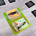 The Silver Bullet Game