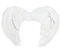 FEATHER ANGEL WINGS, 50X40 CMS (16885)