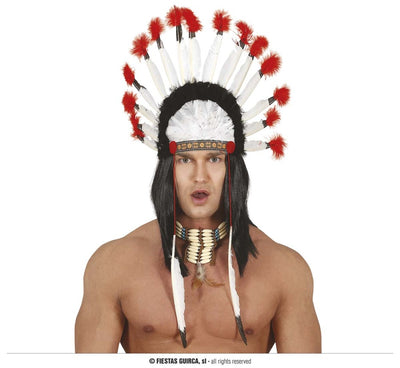 INDIAN FEATHERS PLUME (13091)